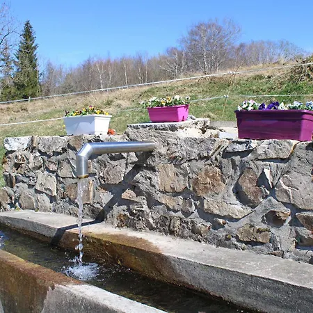 Chez Mamie Avec Jardin Et Terrasse, Proche Vichy - Fr-1-489-332 Σπίτι διακοπών Lavoine