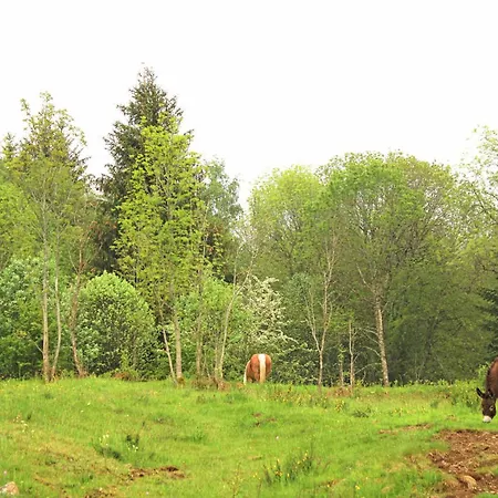 Chez Mamie Avec Jardin Et Terrasse, Proche Vichy - Fr-1-489-332 * Lavoine