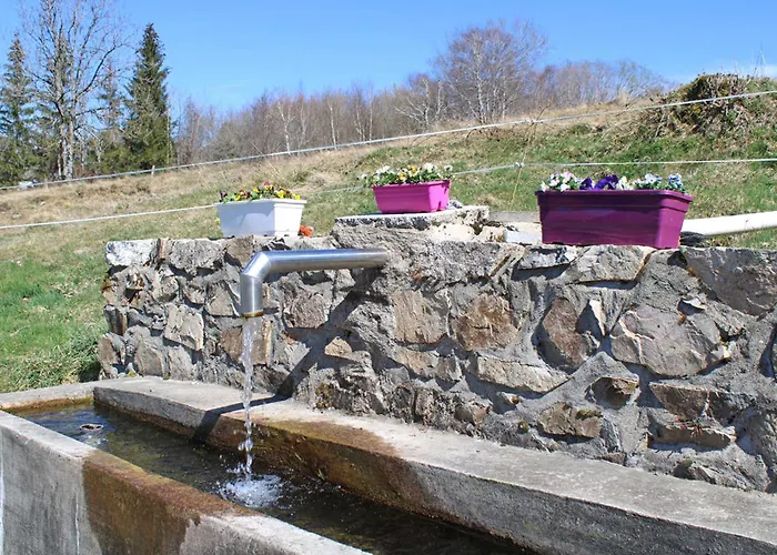 Дом отдыха Chez Mamie Avec Jardin Et Terrasse, Proche Vichy - Fr-1-489-332