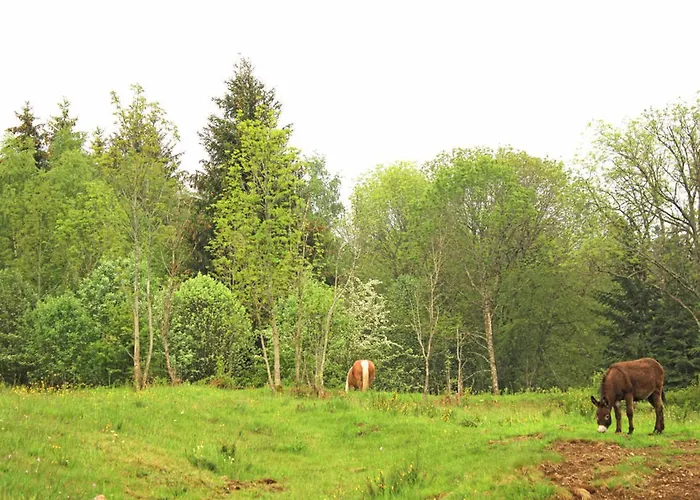 Chez Mamie Avec Jardin Et Terrasse, Proche Vichy - Fr-1-489-332 * Lavoine